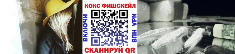 где можно купить наркотик  Котовск  КОКАИН FishScale 