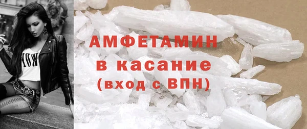 прущие грибы Наволоки