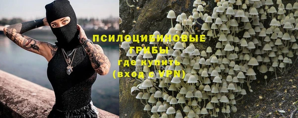 трава Бердск