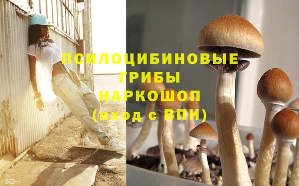 MDMA Михайловка
