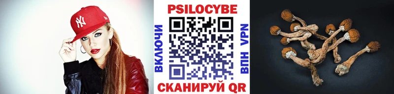 Галлюциногенные грибы Cubensis  что такое   Котовск 