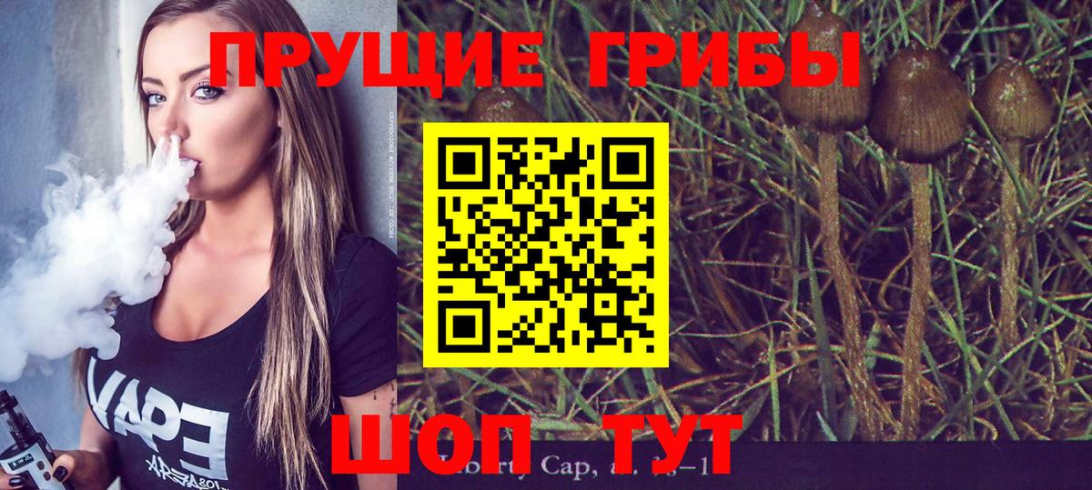 Котовск  Псилоцибиновые грибы ЛСД  Вход с VPN 