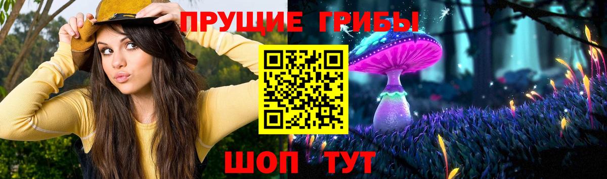 Псилоцибиновые грибы ЛСД Котовск